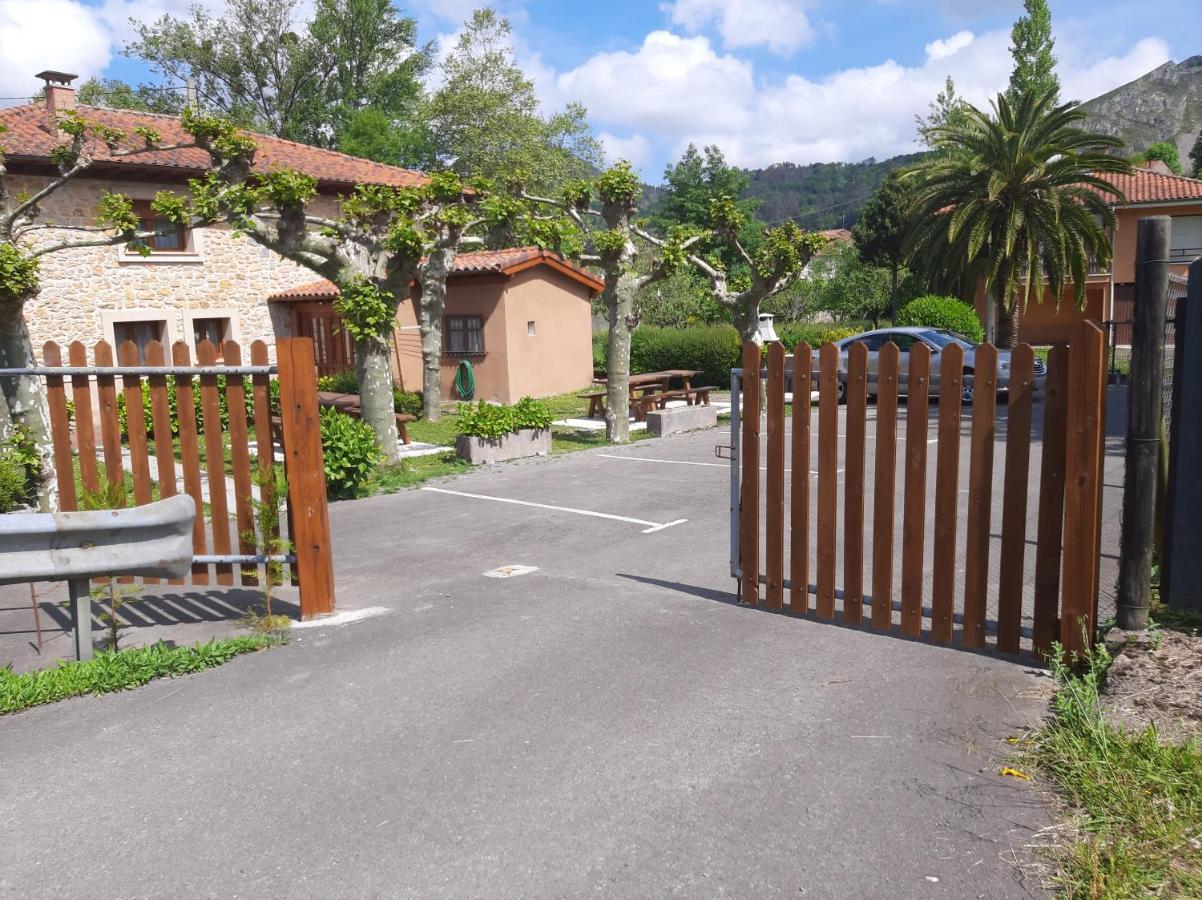Апартаменти El Puentin Del Sella Con Wifi Y Parking Gratuito Кангас-де-Оніс Екстер'єр фото